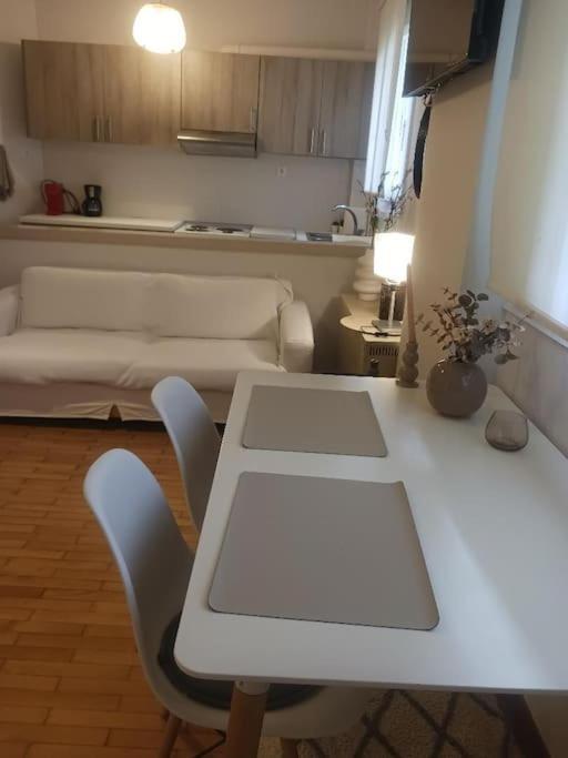 Beautiful Downtown Studio! Ioannina Exterior foto